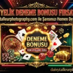 İlk Üyelik Deneme Bonusu Fırsatları | daisytalleurphotography